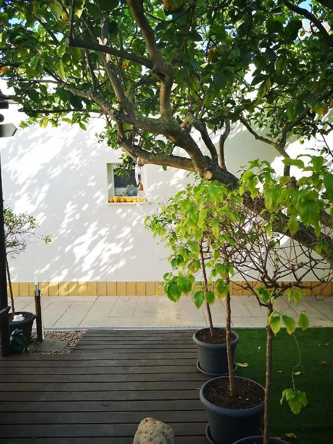 Gæstehus Nature Guesthouse Lagos